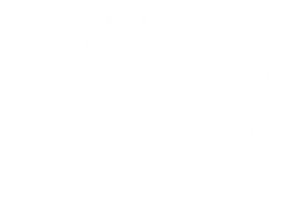 WIND-logo-wit