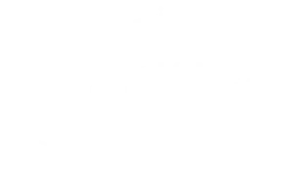 royal-bodewes_van-gooi